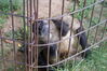Filename=20090717_014.jpg
Filesize=198KiB
Dimensions=1023x685
Date added=Jul 22, 2009 20090717_014.jpg