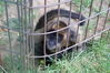 Filename=20090717_015.jpg
Filesize=224KiB
Dimensions=1023x685
Date added=Jul 22, 2009 20090717_015.jpg
