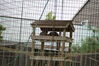 Filename=20090717_016.jpg
Filesize=268KiB
Dimensions=1023x685
Date added=Jul 22, 2009 20090717_016.jpg
