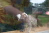 Filename=20090717_021.jpg
Filesize=114KiB
Dimensions=1023x685
Date added=Jul 22, 2009 20090717_021.jpg