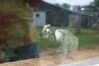 Filename=20090717_022.jpg
Filesize=109KiB
Dimensions=1023x685
Date added=Jul 22, 2009 20090717_022.jpg