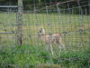 Filename=20090717_023.jpg
Filesize=213KiB
Dimensions=1024x768
Date added=Jul 22, 2009 20090717_023.jpg