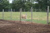 Filename=20090717_025.jpg
Filesize=245KiB
Dimensions=1023x685
Date added=Jul 22, 2009 20090717_025.jpg