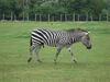 Filename=20090717_031.jpg
Filesize=175KiB
Dimensions=1024x768
Date added=Jul 22, 2009 20090717_031.jpg