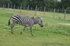 Filename=20090717_032.jpg
Filesize=214KiB
Dimensions=1023x685
Date added=Jul 22, 2009 20090717_032.jpg