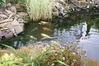 Filename=20090717_042.jpg
Filesize=253KiB
Dimensions=1023x685
Date added=Jul 22, 2009 20090717_042.jpg