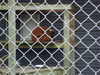 Filename=20090717_043.jpg
Filesize=173KiB
Dimensions=1024x768
Date added=Jul 22, 2009 20090717_043.jpg