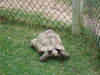 Filename=20090717_044.jpg
Filesize=244KiB
Dimensions=1024x768
Date added=Jul 22, 2009 20090717_044.jpg