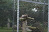 Filename=20090717_049.jpg
Filesize=282KiB
Dimensions=1023x685
Date added=Jul 22, 2009 20090717_049.jpg