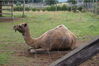 Filename=20090717_052.jpg
Filesize=218KiB
Dimensions=1023x685
Date added=Jul 22, 2009 20090717_052.jpg