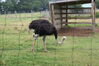 Filename=20090717_056.jpg
Filesize=233KiB
Dimensions=1023x685
Date added=Jul 22, 2009 20090717_056.jpg