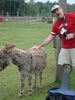 Filename=20090717_058.jpg
Filesize=160KiB
Dimensions=768x1024
Date added=Jul 22, 2009 20090717_058.jpg