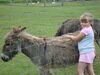 Filename=20090717_062.jpg
Filesize=183KiB
Dimensions=1024x768
Date added=Jul 22, 2009 20090717_062.jpg