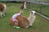 Filename=20090717_066.jpg
Filesize=238KiB
Dimensions=1023x685
Date added=Jul 22, 2009 20090717_066.jpg