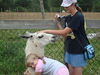 Filename=20090717_068.jpg
Filesize=178KiB
Dimensions=1024x768
Date added=Jul 22, 2009 20090717_068.jpg