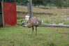 Filename=20090717_070.jpg
Filesize=197KiB
Dimensions=1023x685
Date added=Jul 22, 2009 20090717_070.jpg