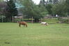 Filename=20090717_075.jpg
Filesize=220KiB
Dimensions=1023x685
Date added=Jul 22, 2009 20090717_075.jpg