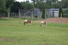 Filename=20090717_076.jpg
Filesize=214KiB
Dimensions=1023x685
Date added=Jul 22, 2009 20090717_076.jpg