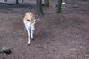 Filename=20090717_084.jpg
Filesize=259KiB
Dimensions=1023x685
Date added=Jul 22, 2009 20090717_084.jpg