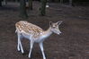 Filename=20090717_085.jpg
Filesize=182KiB
Dimensions=1023x685
Date added=Jul 22, 2009 20090717_085.jpg