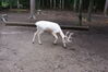 Filename=20090717_094.jpg
Filesize=213KiB
Dimensions=1023x685
Date added=Jul 22, 2009 20090717_094.jpg