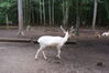 Filename=20090717_096.jpg
Filesize=203KiB
Dimensions=1023x685
Date added=Jul 22, 2009 20090717_096.jpg