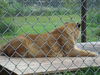 Filename=20090717_101.jpg
Filesize=189KiB
Dimensions=1024x768
Date added=Jul 22, 2009 20090717_101.jpg