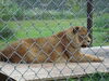 Filename=20090717_102.jpg
Filesize=183KiB
Dimensions=1024x768
Date added=Jul 22, 2009 20090717_102.jpg