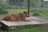 Filename=20090717_103.jpg
Filesize=223KiB
Dimensions=1023x685
Date added=Jul 22, 2009 20090717_103.jpg