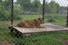 Filename=20090717_104.jpg
Filesize=264KiB
Dimensions=1023x685
Date added=Jul 22, 2009 20090717_104.jpg
