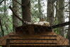 Filename=20090717_105.jpg
Filesize=235KiB
Dimensions=1023x685
Date added=Jul 22, 2009 20090717_105.jpg