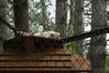 Filename=20090717_106.jpg
Filesize=225KiB
Dimensions=1023x685
Date added=Jul 22, 2009 20090717_106.jpg