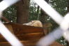 Filename=20090717_107.jpg
Filesize=157KiB
Dimensions=1023x685
Date added=Jul 22, 2009 20090717_107.jpg