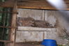 Filename=20090717_109.jpg
Filesize=190KiB
Dimensions=1023x685
Date added=Jul 22, 2009 20090717_109.jpg