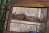 Filename=20090717_110.jpg
Filesize=197KiB
Dimensions=1023x685
Date added=Jul 22, 2009 20090717_110.jpg