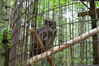 Filename=20090717_113.jpg
Filesize=236KiB
Dimensions=1023x685
Date added=Jul 22, 2009 20090717_113.jpg
