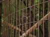 Filename=20090717_114.jpg
Filesize=183KiB
Dimensions=1024x768
Date added=Jul 22, 2009 20090717_114.jpg
