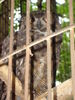 Filename=20090717_115.jpg
Filesize=142KiB
Dimensions=768x1024
Date added=Jul 22, 2009 20090717_115.jpg