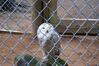 Filename=20090717_116.jpg
Filesize=179KiB
Dimensions=1023x685
Date added=Jul 22, 2009 20090717_116.jpg