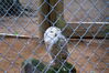 Filename=20090717_117.jpg
Filesize=188KiB
Dimensions=1023x685
Date added=Jul 22, 2009 20090717_117.jpg