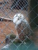 Filename=20090717_118.jpg
Filesize=131KiB
Dimensions=768x1024
Date added=Jul 22, 2009 20090717_118.jpg