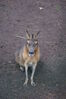 Filename=20090717_120.jpg
Filesize=145KiB
Dimensions=685x1023
Date added=Jul 22, 2009 20090717_120.jpg