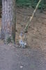 Filename=20090717_121.jpg
Filesize=207KiB
Dimensions=685x1023
Date added=Jul 22, 2009 20090717_121.jpg