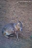Filename=20090717_122.jpg
Filesize=212KiB
Dimensions=685x1023
Date added=Jul 22, 2009 20090717_122.jpg