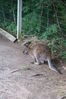 Filename=20090717_128.jpg
Filesize=199KiB
Dimensions=685x1023
Date added=Jul 22, 2009 20090717_128.jpg