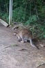 Filename=20090717_129.jpg
Filesize=232KiB
Dimensions=685x1023
Date added=Jul 22, 2009 20090717_129.jpg
