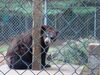 Filename=20090717_130.jpg
Filesize=198KiB
Dimensions=1024x768
Date added=Jul 22, 2009 20090717_130.jpg