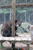 Filename=20090717_131.jpg
Filesize=207KiB
Dimensions=685x1023
Date added=Jul 22, 2009 20090717_131.jpg