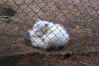 Filename=20090717_133.jpg
Filesize=278KiB
Dimensions=1023x685
Date added=Jul 22, 2009 20090717_133.jpg