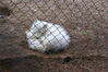 Filename=20090717_134.jpg
Filesize=263KiB
Dimensions=1023x685
Date added=Jul 22, 2009 20090717_134.jpg